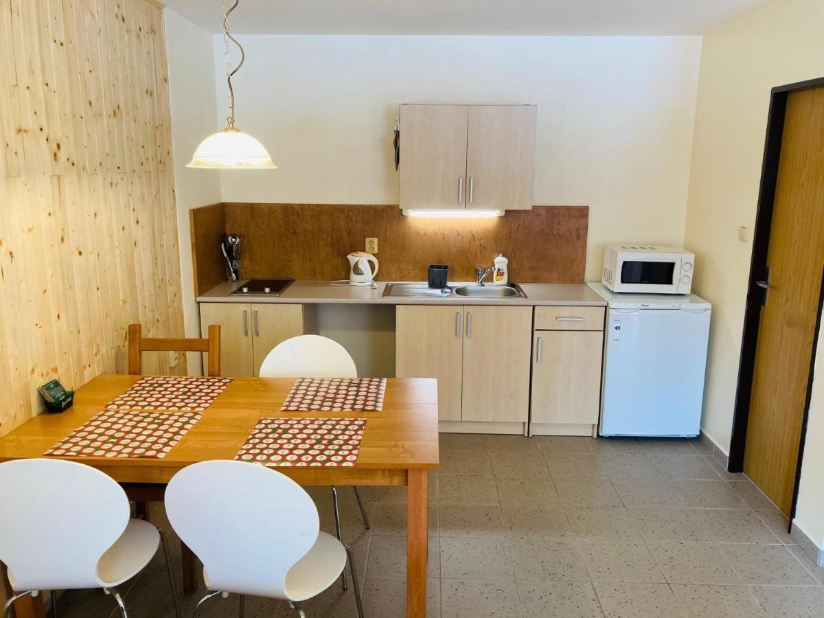 Studia Pod Lysou Rokytnice nad Jizerou