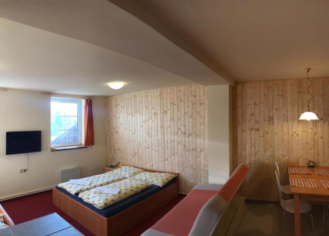 Studia Pod Lysou Apartment Rokytnice nad Jizerou
