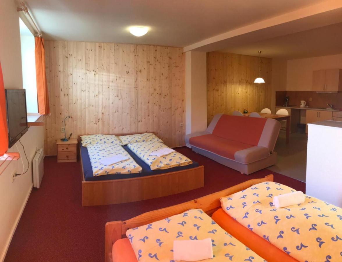 Studia Pod Lysou Apartment Rokytnice nad Jizerou