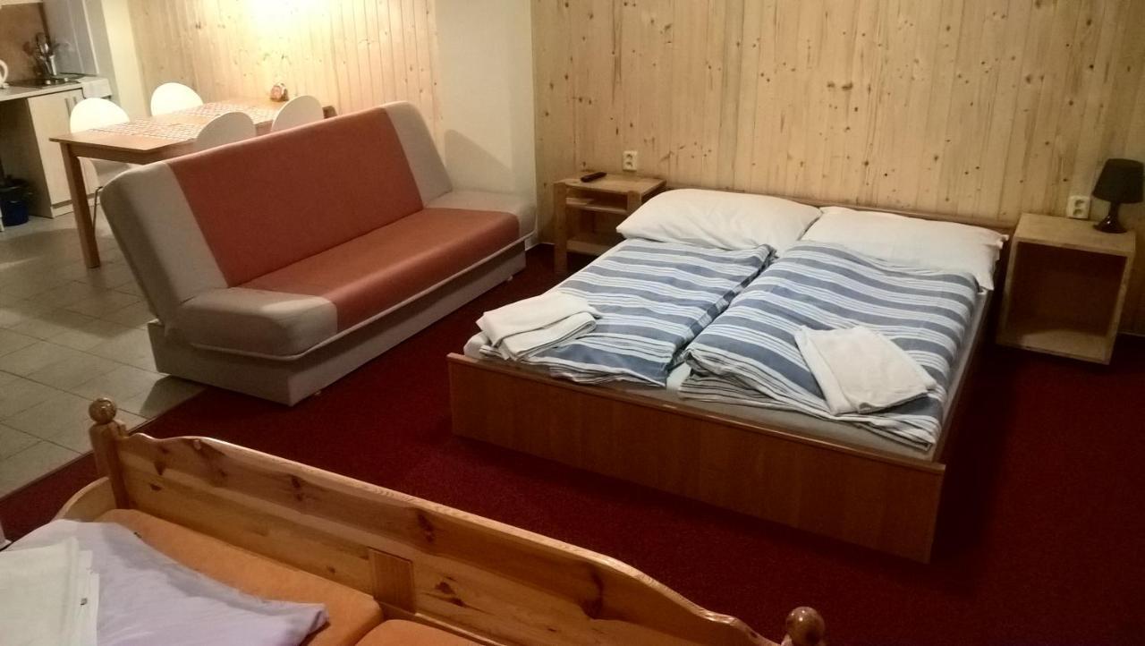 Studia Pod Lysou Apartment Rokytnice nad Jizerou